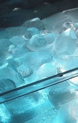 || Chonut || Phần thưởng an ủi cho chú mèo của nhà vô địch mùa hè 2024