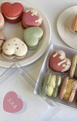 Choran| Vuốt mèo và macaron