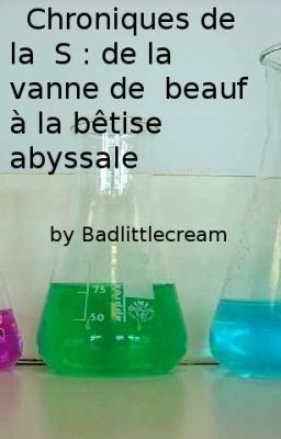 Chroniques de la S : de la vanne de beauf à la bêtise abyssale