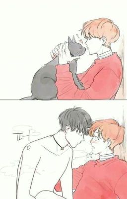 Chú mèo của hoseok [yoonseok]