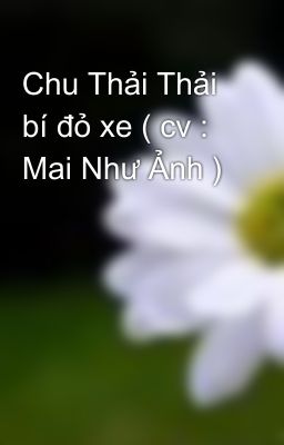 Chu Thải Thải bí đỏ xe ( cv : Mai Như Ảnh )