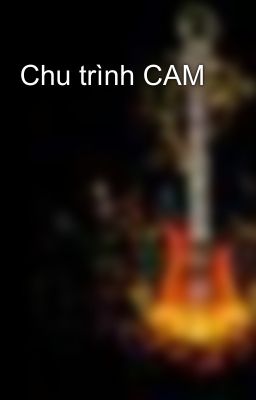 Chu trình CAM