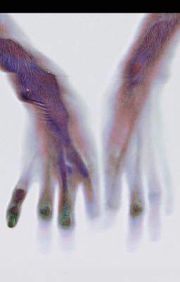 Chúa Dòi