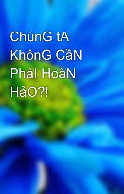 ChúnG tA KhônG CầN PhảI HoàN HảO?!