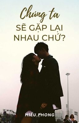 Chúng ta sẽ gặp lại nhau chứ?