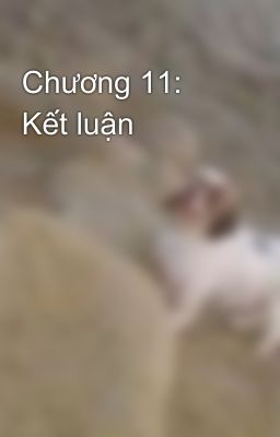 Chương 11: Kết luận