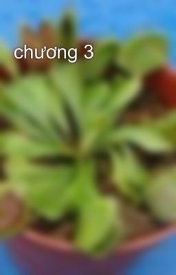 chương 3