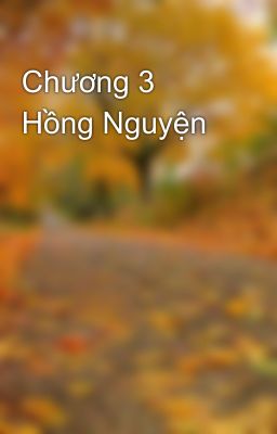 Chương 3 Hồng Nguyện