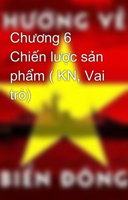 Chương 6 Chiến lược sản phẩm ( KN, Vai trò)