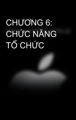 CHƯƠNG 6: CHỨC NĂNG TỔ CHỨC