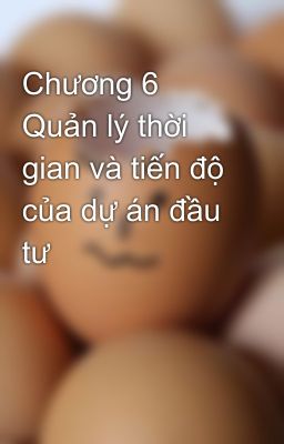 Chương 6 Quản lý thời gian và tiến độ của dự án đầu tư