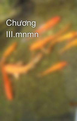 Chương III.mnmn