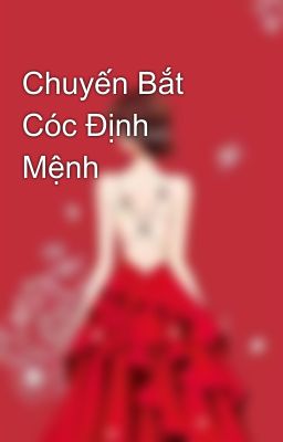 Chuyến Bắt Cóc Định Mệnh