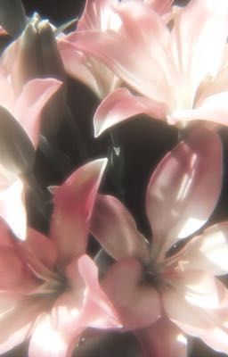 chuyện chúng ta | bts-linhoon