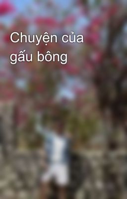 Chuyện của gấu bông