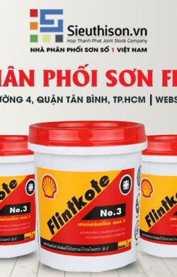 Chuyên cung cấp chống Thấm Flintkote No 3