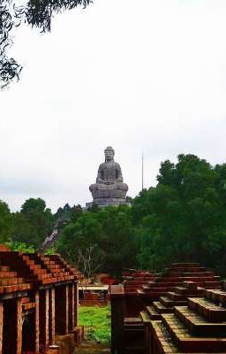 Chuyện Đời Của Tôi