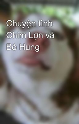 Chuyện tình Chim Lợn và Bò Hung