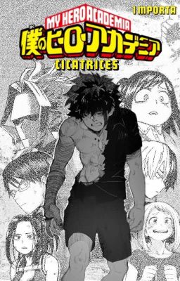 CICATRICES | BNHA/MHA