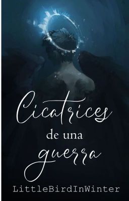 Cicatrices de una guerra [Destiel]