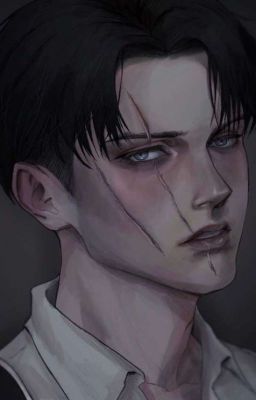 Cichy chaos [Levi x Reader]