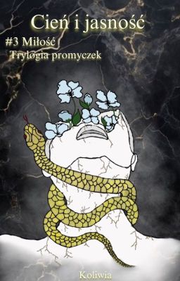 Cień i jasność #3 Miłość (Trylogia promyczek)