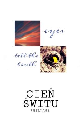 Cień świtu || Blask nocy HTTYD fanfiction cz. 2 ✔ 