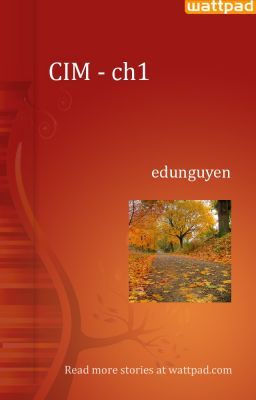 CIM - ch1