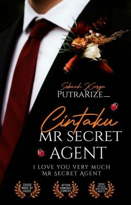 CINTAKU MR SECRET AGENT