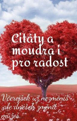 Citáty a moudra i pro radost