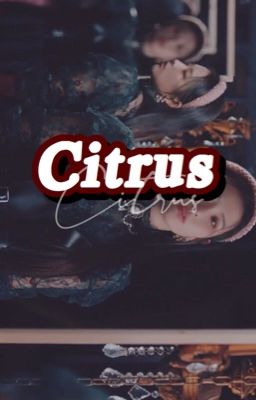 Citrus | Hyunsung