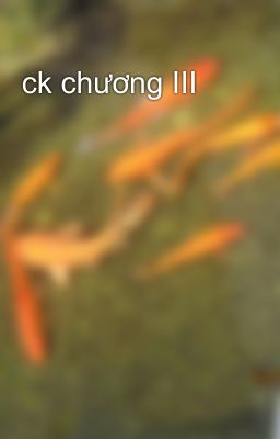 ck chương III