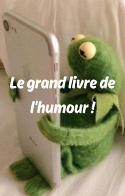 Clashs, memes, gifs  : le grand livre du rire