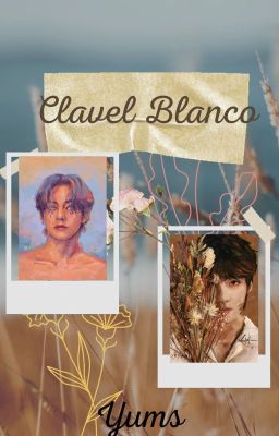 Clavel Blanco