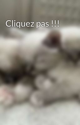 Cliquez pas !!!