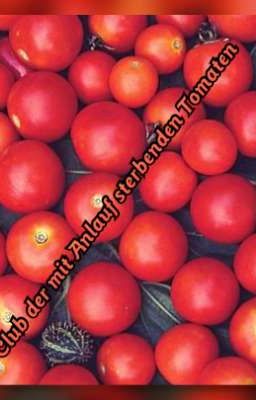 Club der mit Anlauf sterbenden Tomaten 🍅 