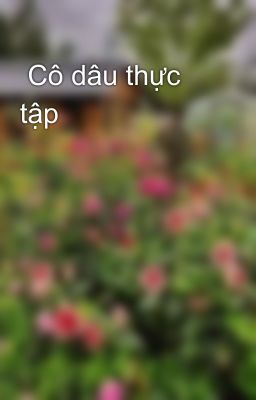  Cô dâu thực tập 