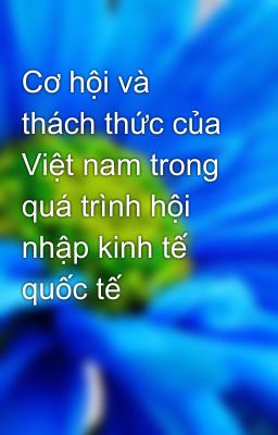 Cơ hội và thách thức của Việt nam trong quá trình hội nhập kinh tế quốc tế