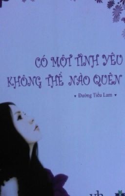 CÓ MỘT TÌNH YÊU KHÔNG THỂ NÀO QUÊN ❤