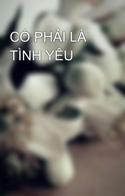 CÓ PHẢI LÀ TÌNH YÊU