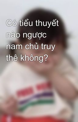 Có tiểu thuyết nào ngược nam chủ truy thê không?