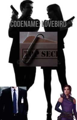 Codename: Lovebird (Kate Bishop x Secret agent Male Reader)