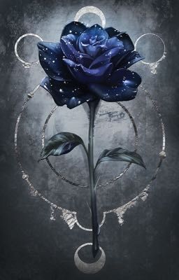 Cole's Blue Rose