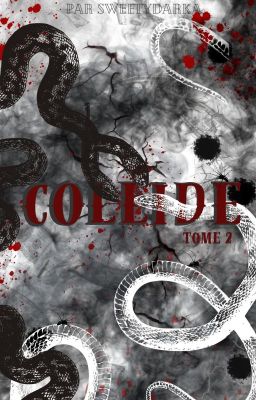 COLLIDE - Tome 2