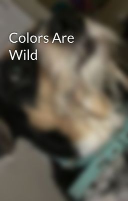 Colors Are Wild