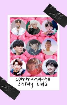 Communauté Stray kids 