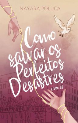 Como Salvar os Perfeitos Desastres - 02