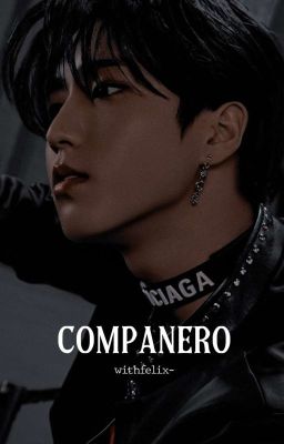 compañero ; han jisung 