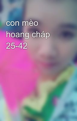 con mèo hoang cháp 25-42