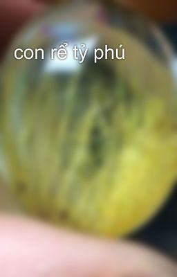 con rể tỷ phú